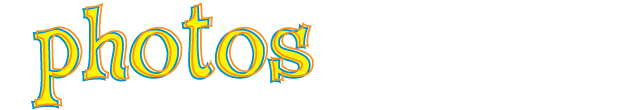 Genuine Toy Co